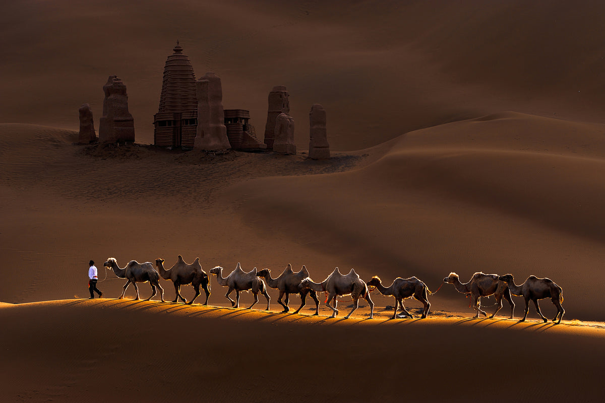 3-piece-aluminium-print-castle-and-camels