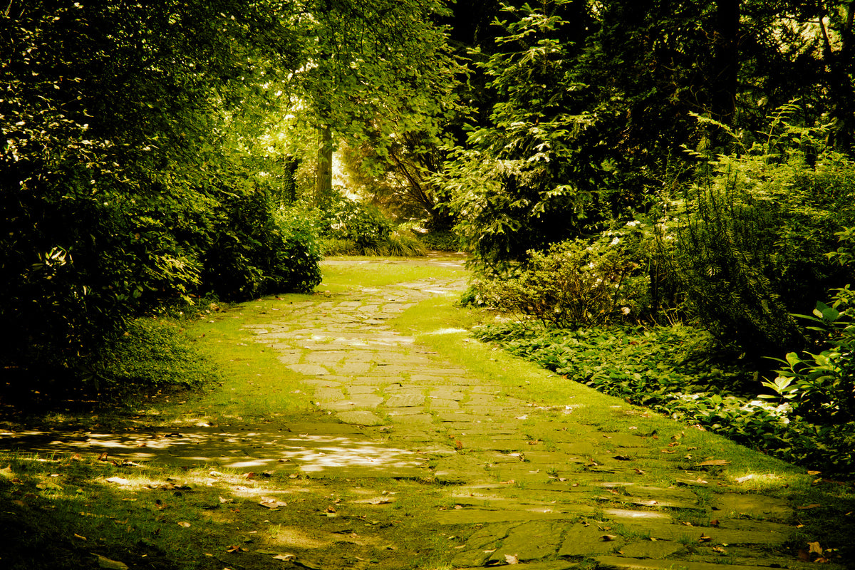 modern-3-piece-canvas-print-moss-covered-path