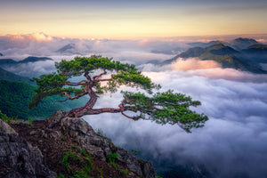 canvas-print-on-the-rock-x