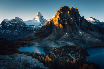 poster-print-morning-sunlight-x