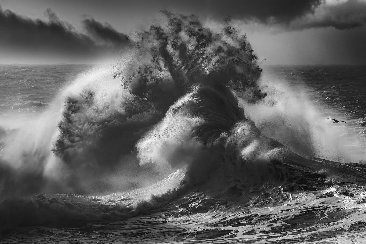 framedposter-print-poseidon-majesty-part-4-x