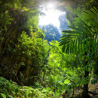 9-piece-canvas-print-clearing-in-the-jungle
