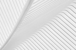 framedposter-print-canopy