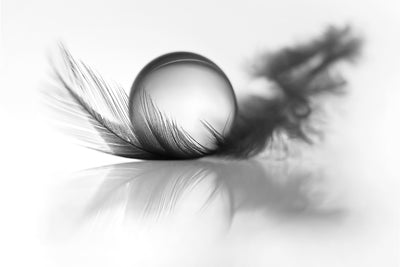 poster-print-lightness-x