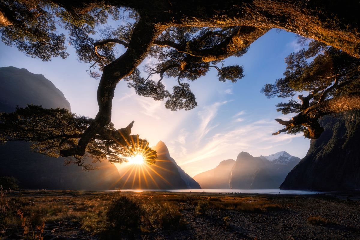 framedcanvas-print-sunny-day-in-milford-sound-x