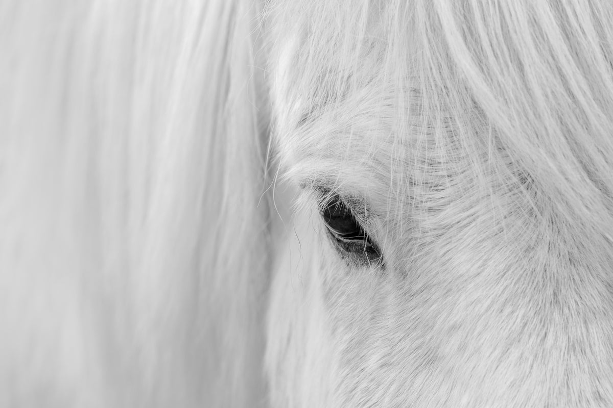 3-piece-aluminium-print-whisper-of-iceland