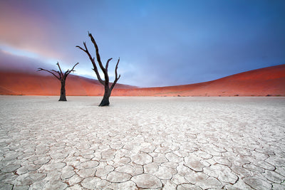 poster-print-mist-over-deadvlei-x