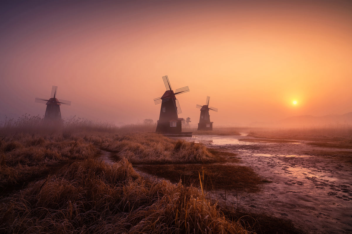 acrylic-print-foggy-morning-xji