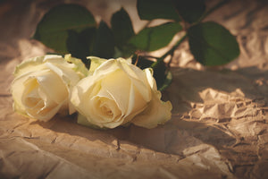 3-piece-acrylic-print-the-purity-of-the-roses