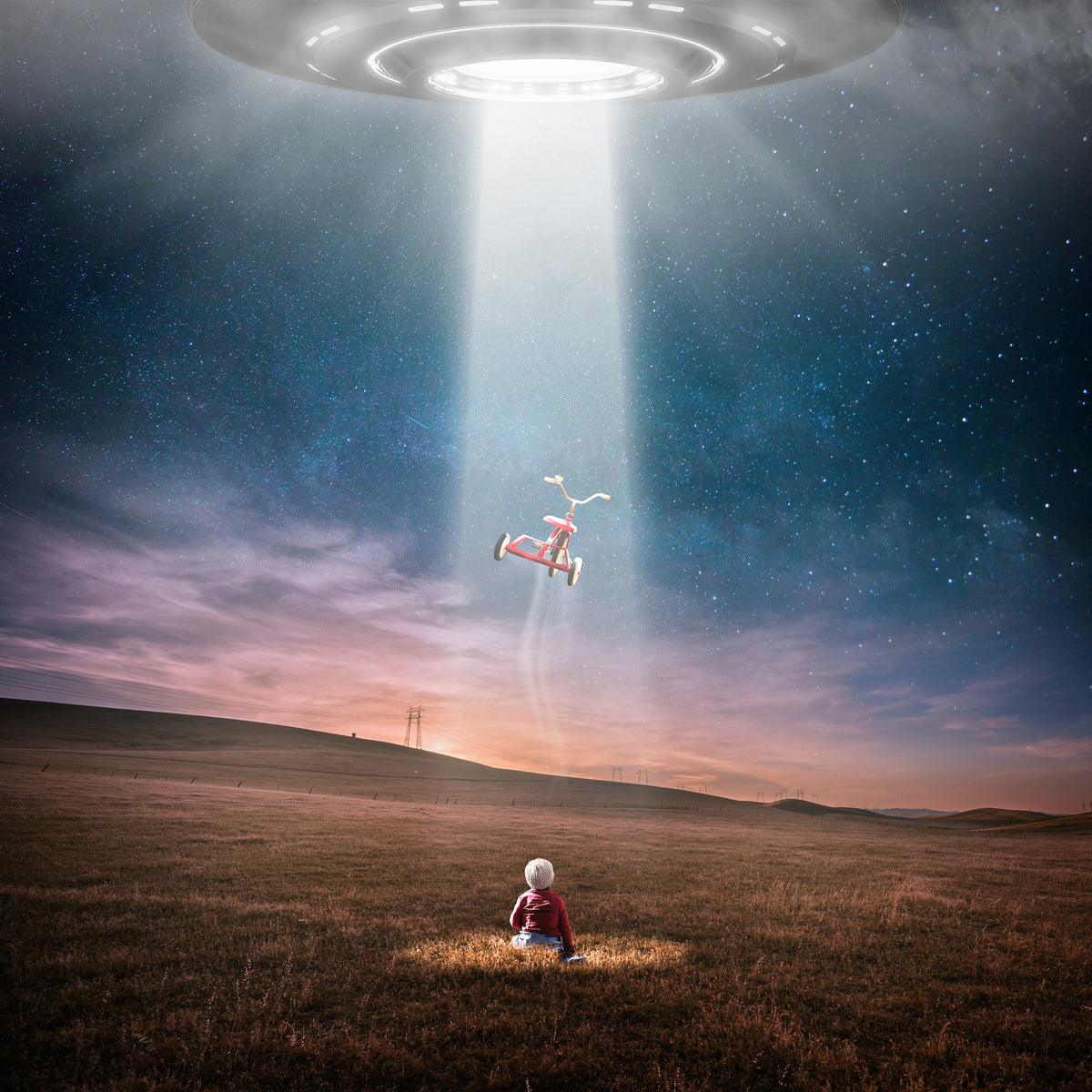 aluminium-print-an-ufo