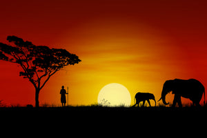 framedposter-print-african-steppe-elephant