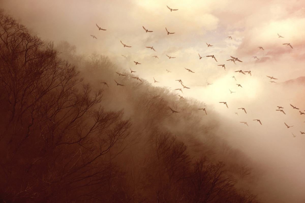 canvas-print-departure