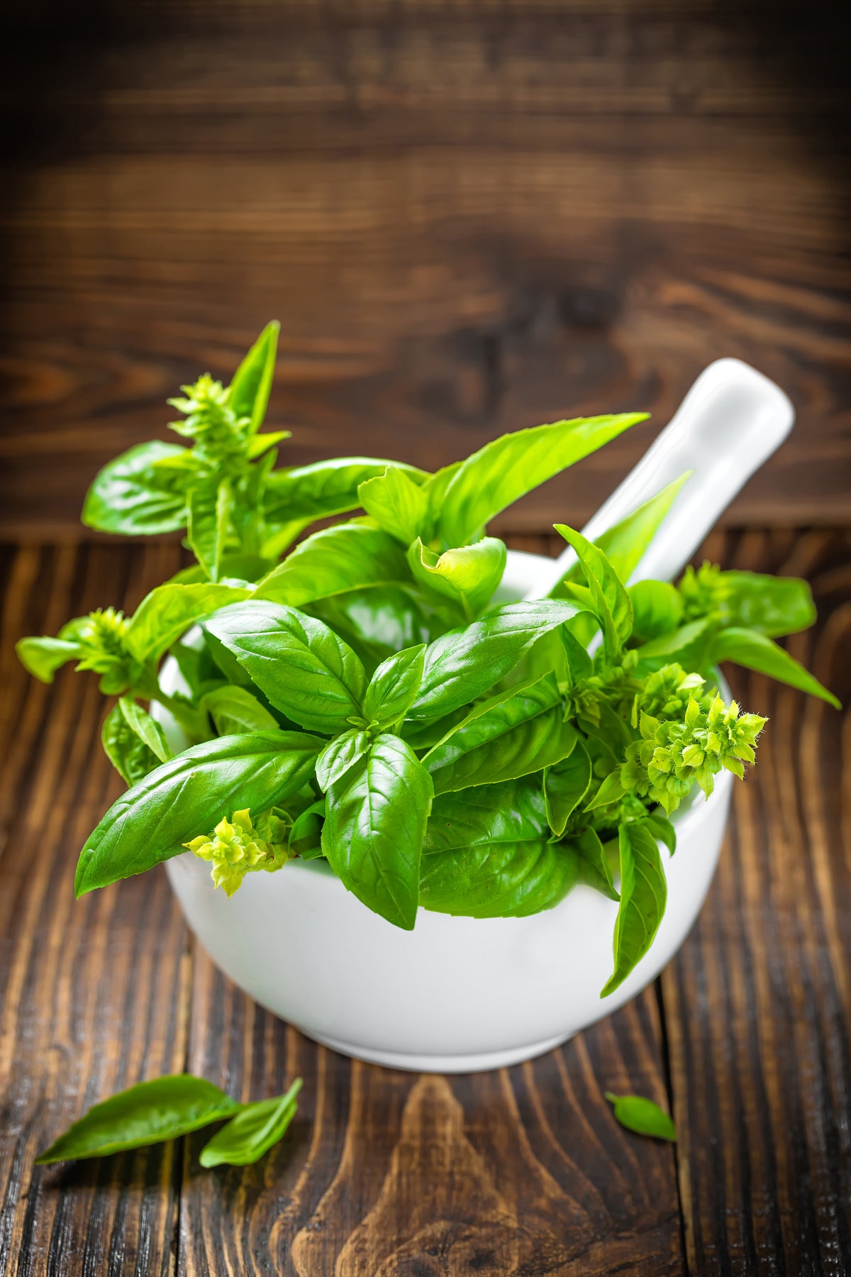 framedposter-print-fresh-basil