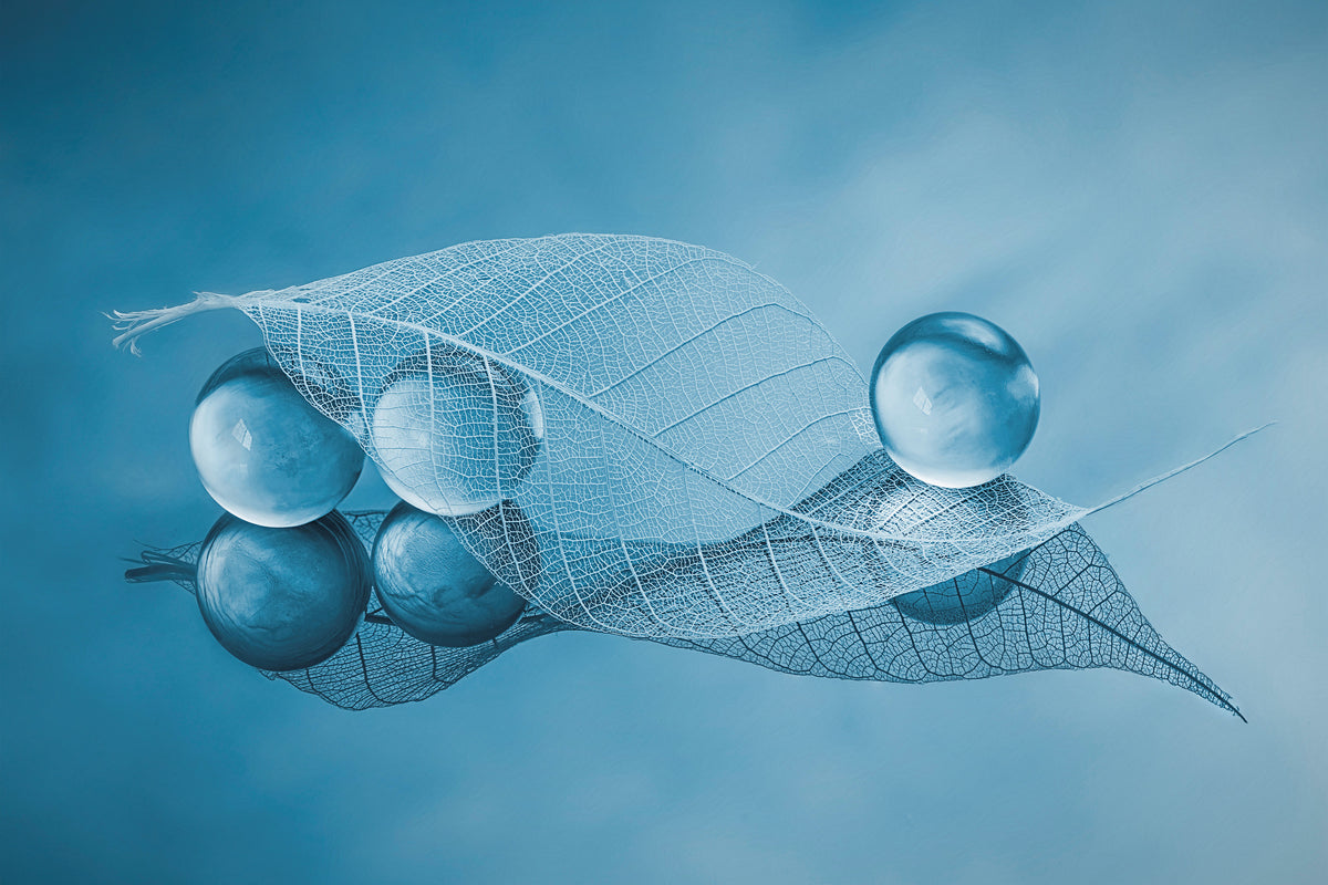framedposter-print-dry-leaf-and-bubbles-x