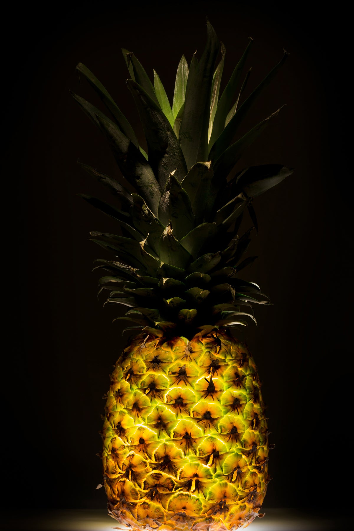 framedcanvas-print-pineapple