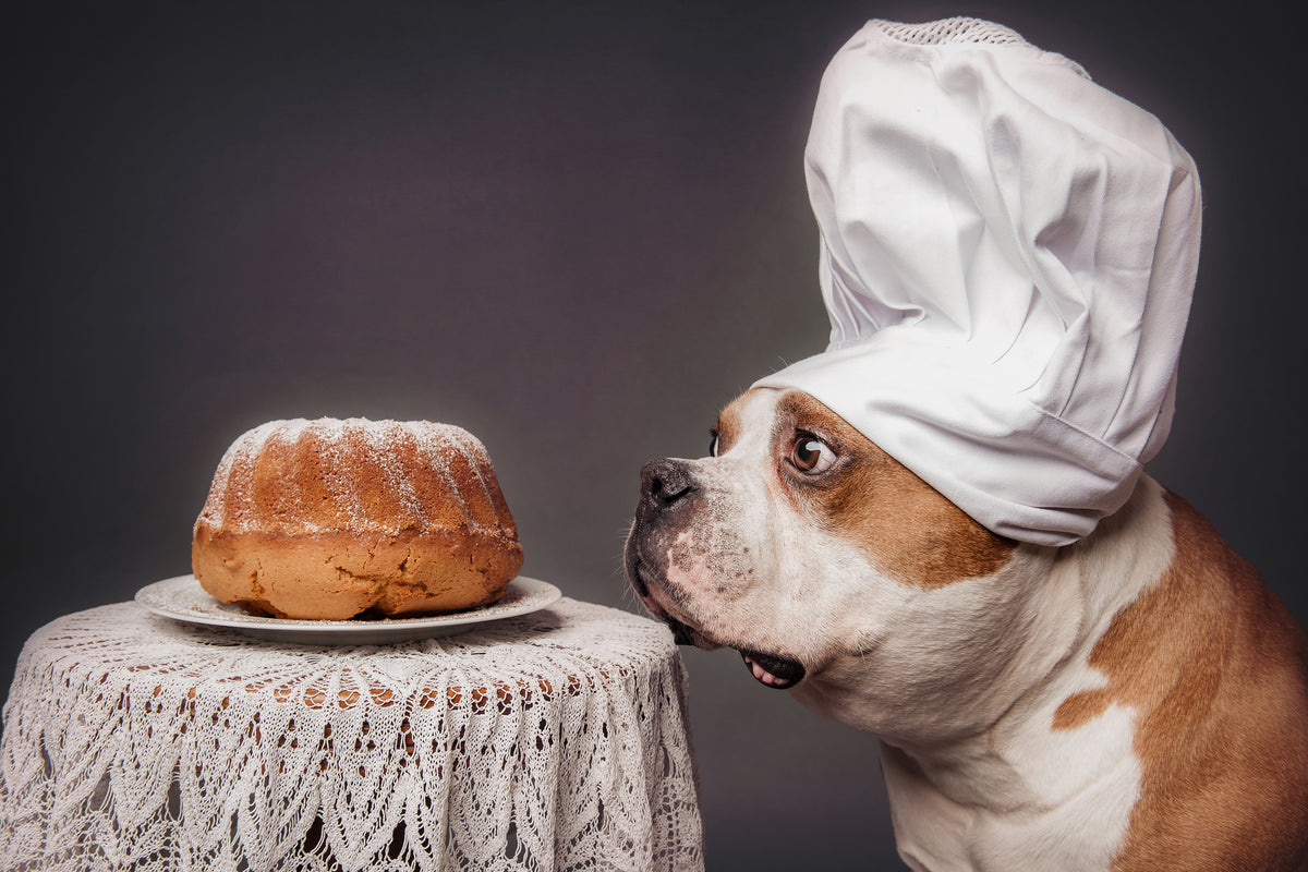acrylic-print-the-confectioner-and-his-masterpiece-x