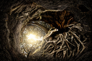 canvas-print-under-the-trees