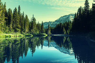 poster-print-the-music-of-silence-in-the-mountains