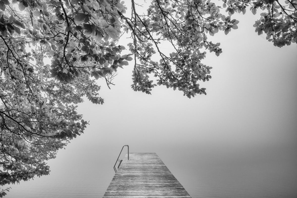 canvas-print-the-sound-of-silence-x