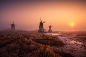 poster-print-foggy-morning-xji