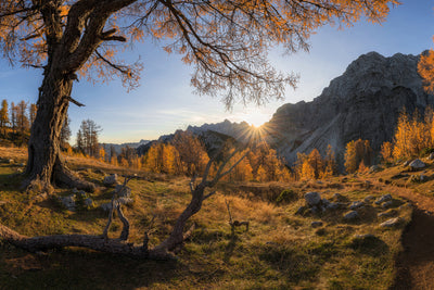 poster-print-autumn-paradise-x