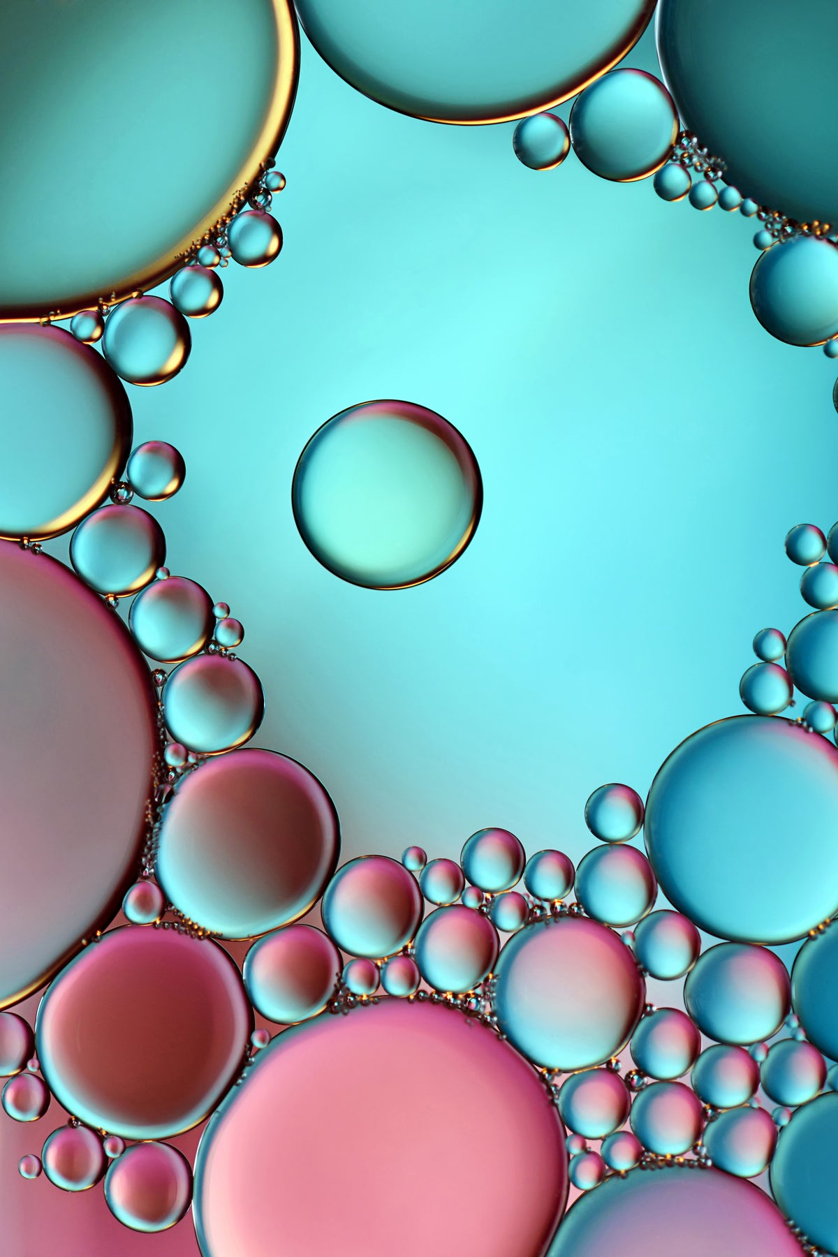 framedposter-print-surrounded-or-protected