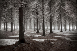 modern-3-piece-acrylic-print-the-onset-of-winter
