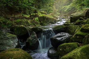 aluminium-print-calming-view