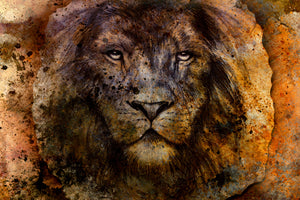aluminium-print-portrait-of-a-lion-ii