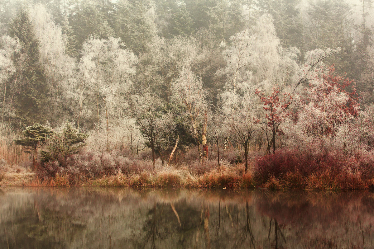 acrylic-print-frozen-x