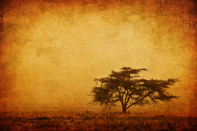 poster-print-sunset-mood