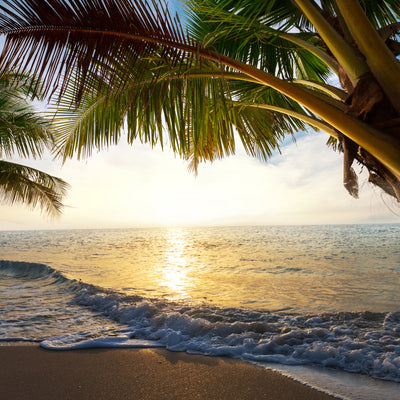 poster-print-beach-view