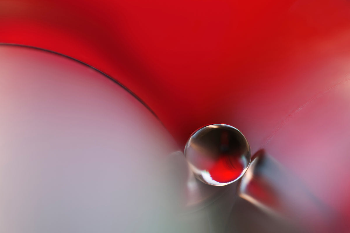 canvas-print-between-x