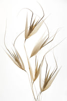 poster-print-delicacy-of-nature