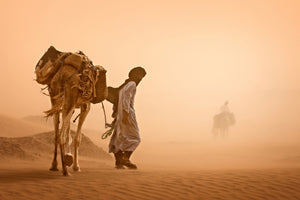poster-print-sand-storm-x