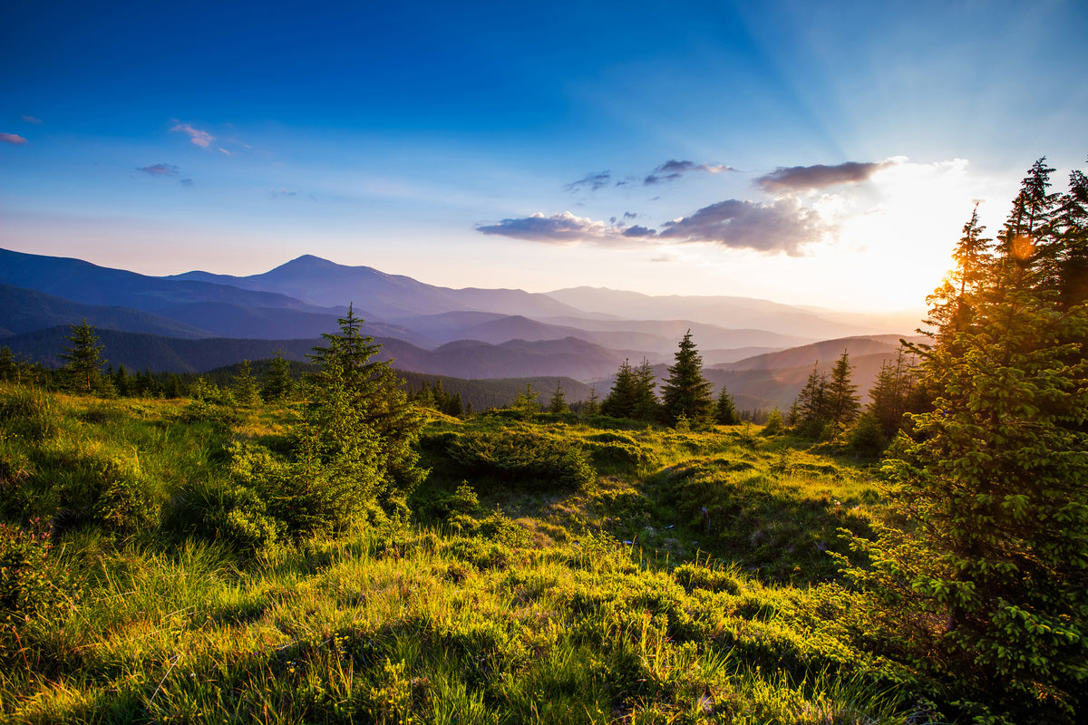 canvas-print-peaceful-landscape