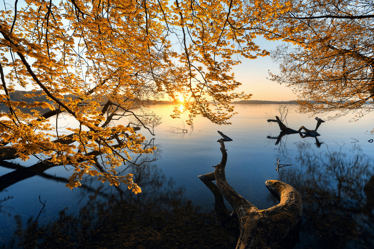 canvas-print-autumn-morning-xoq