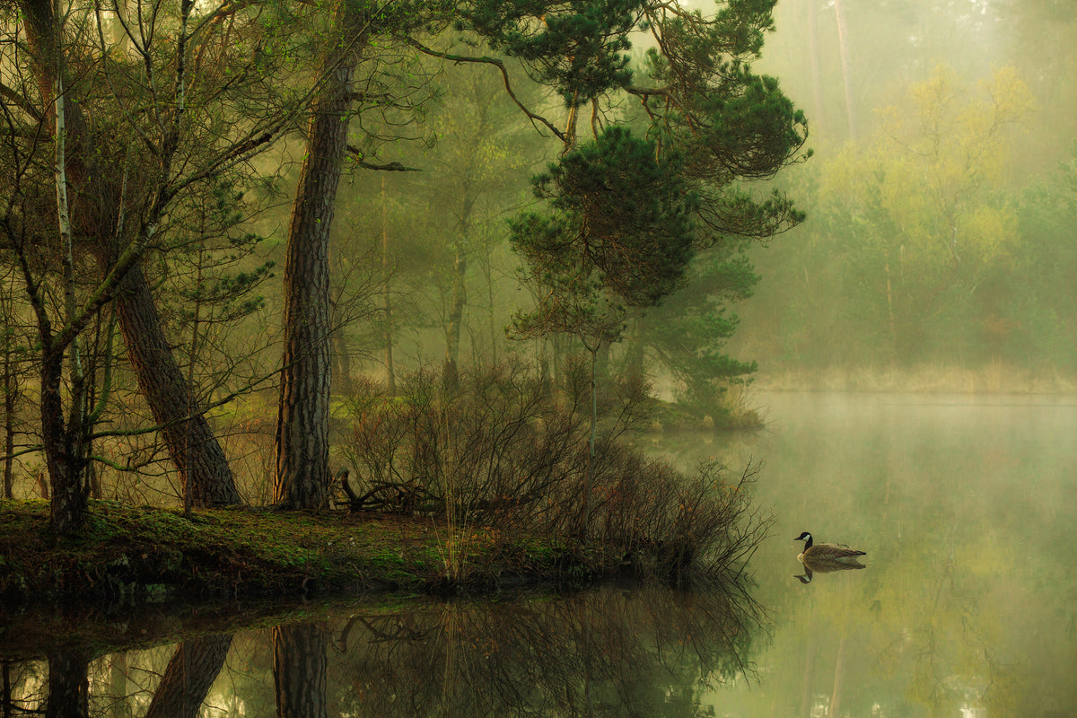 framedcanvas-print-mood-of-spring-x