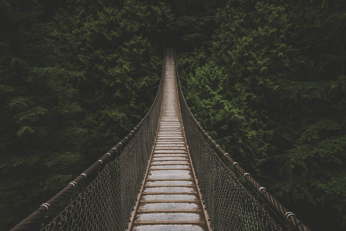 framedposter-print-exciting-bridge