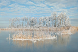 aluminium-print-winter-xfq