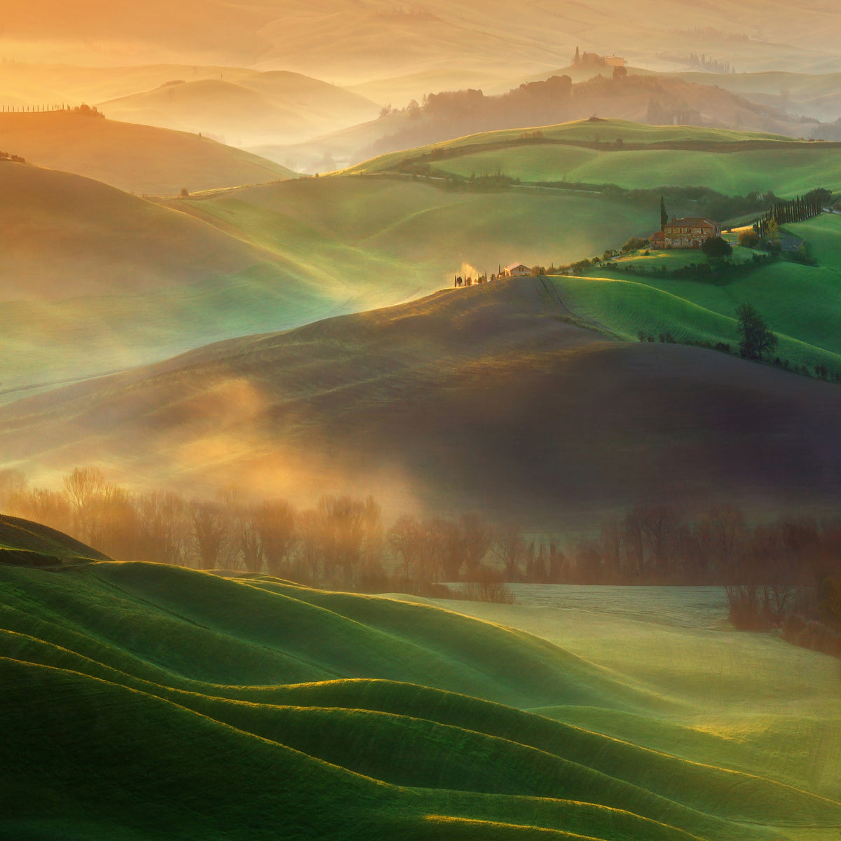9-piece-canvas-print-morning-dreams