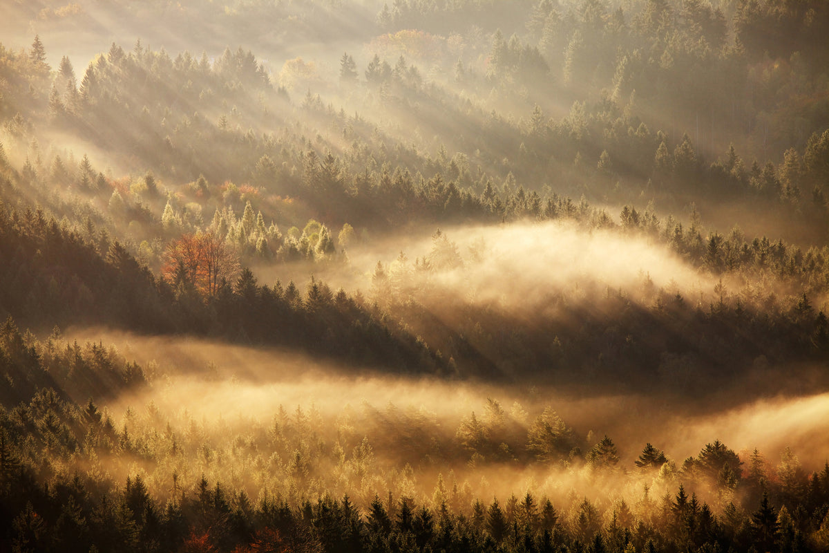 framedcanvas-print-autumn-rays-x