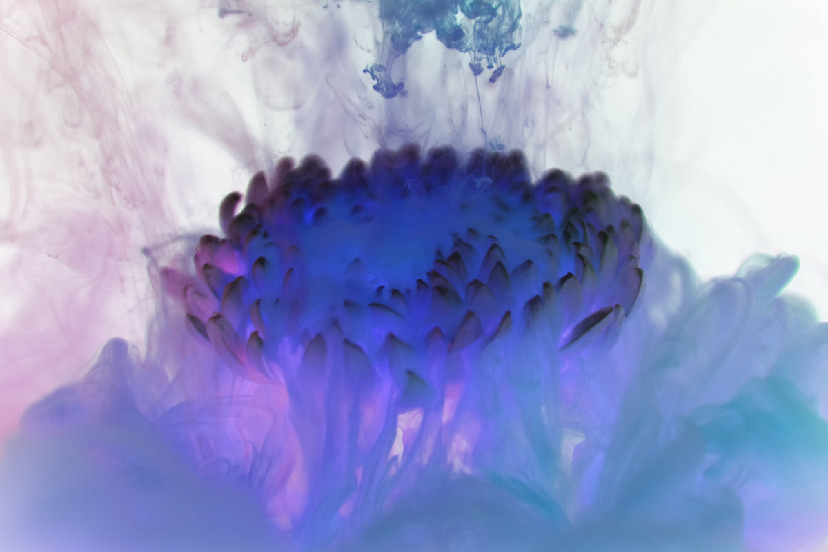 poster-print-floating-art-ii