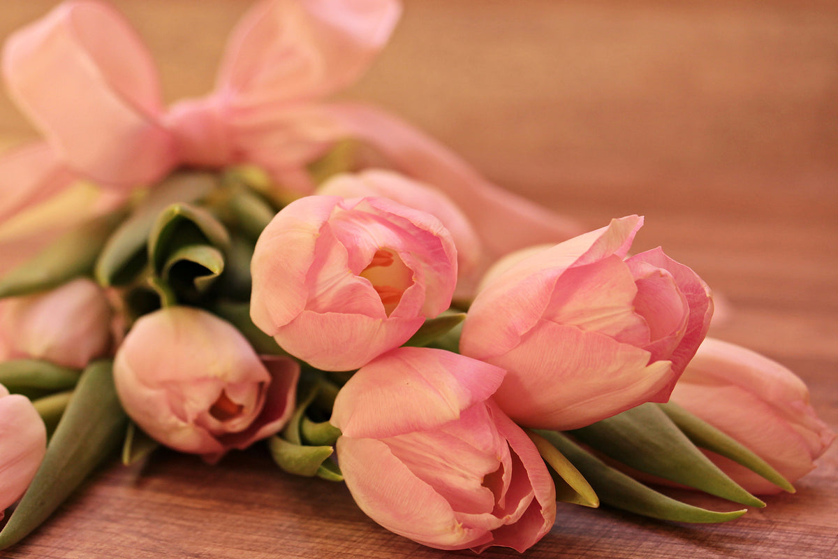 aluminium-print-romantic-tulip-bouquet