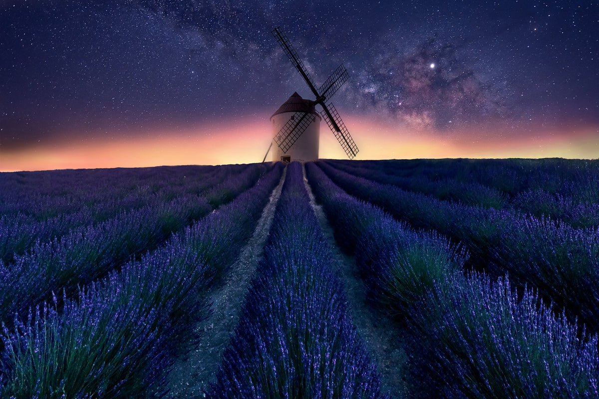 aluminium-print-lavender-night-x