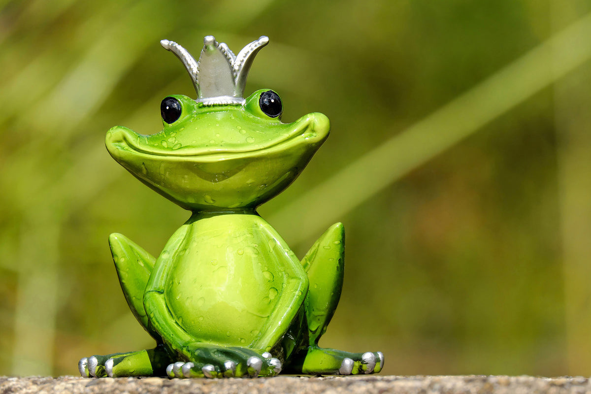 framedposter-print-mr-frog-king