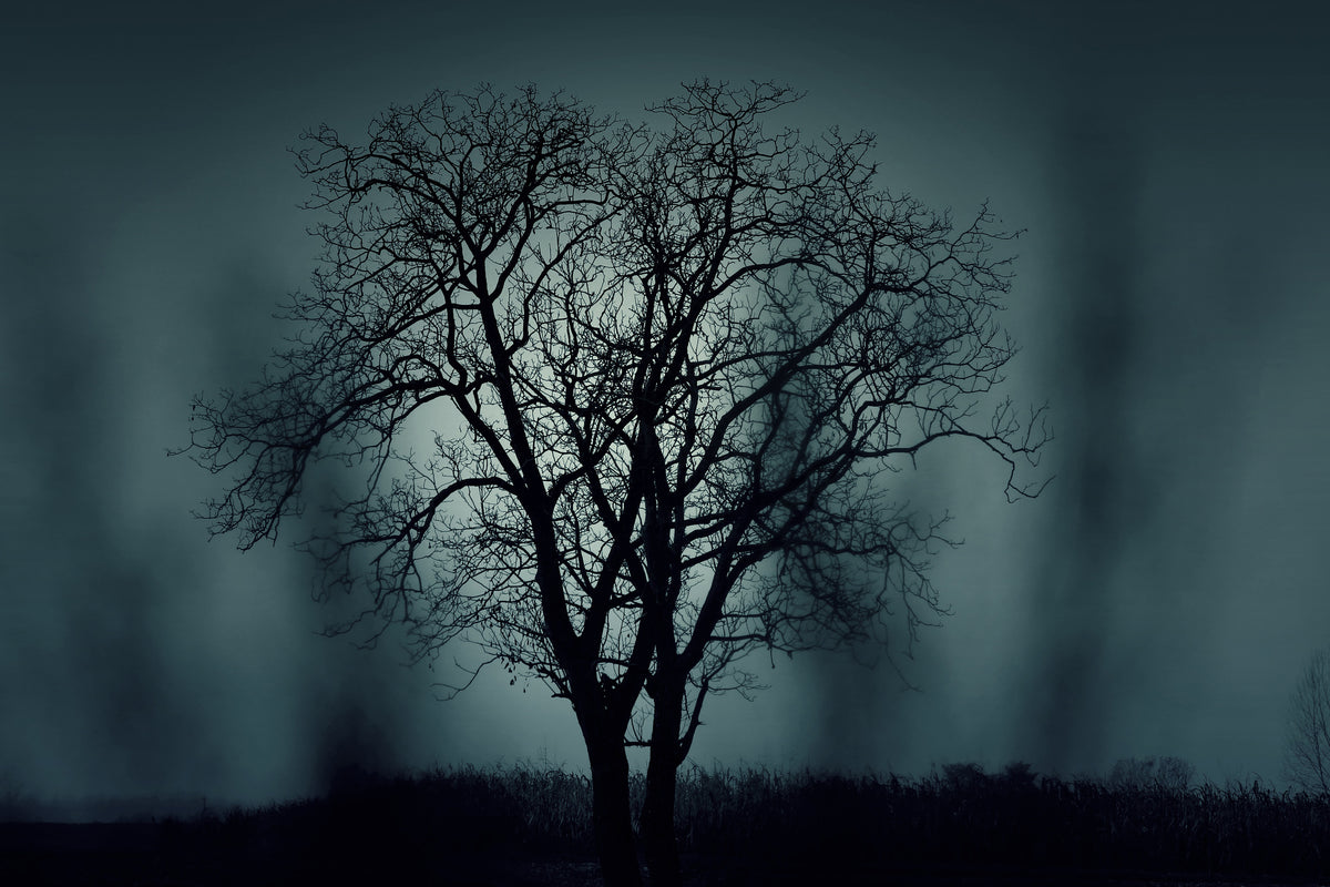 modern-3-piece-aluminium-print-the-tree-in-darkness