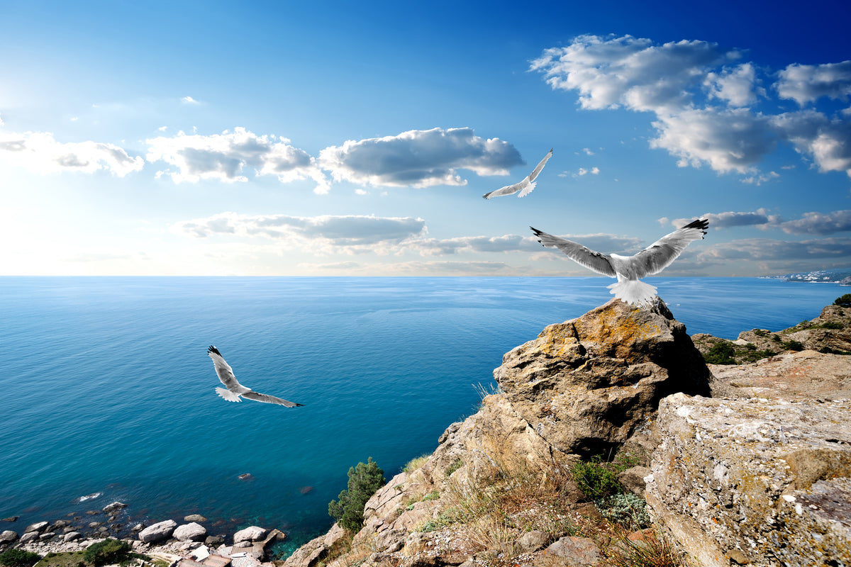 3-piece-acrylic-print-the-seagulls-and-the-sea