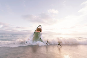 3-piece-canvas-print-beware-shark