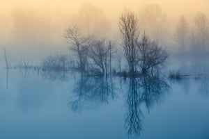 canvas-print-morning-reflection-ii